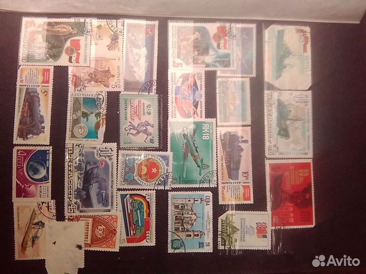 Коллеционная этикетка