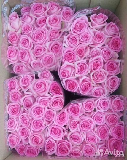 Цветы розы оптом и в розницу