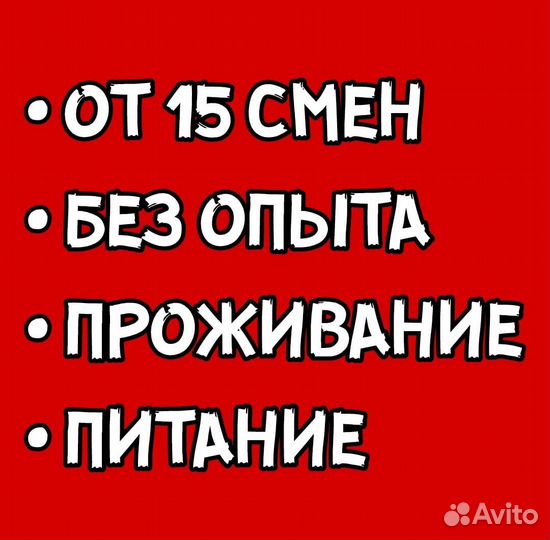 Упаковщик Вахта Питание Проживание