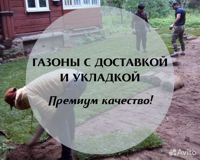 Рулонный газон под ключ