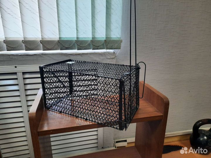 Мышеловка крысоловка