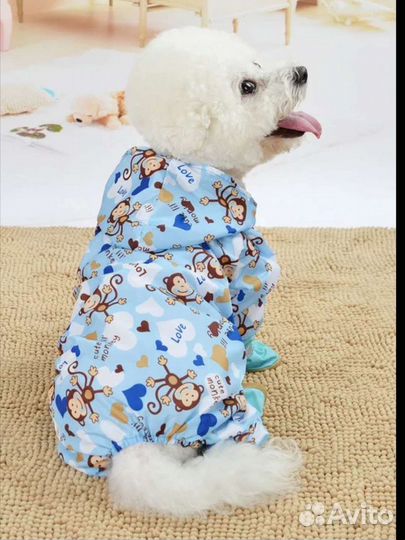 Одежда для собак мелких пород