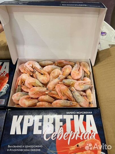 Креветка Северная