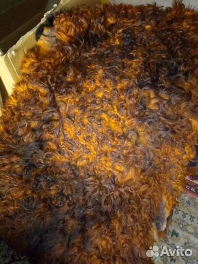 Шкура овечья