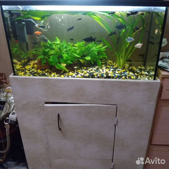 Аквариум с тумбой и рыбками
