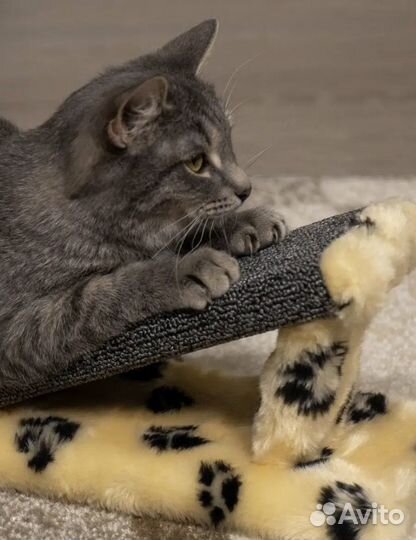 Домик для кошки с когтеточкой