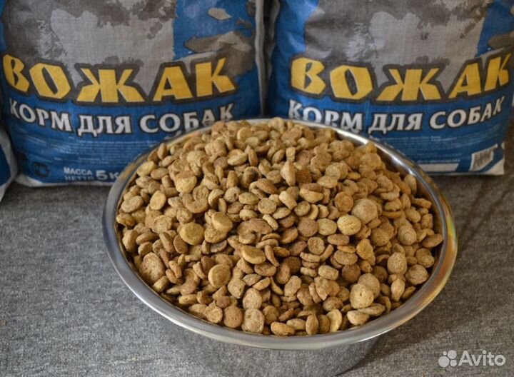 Сухой Корм Эконом класса для Собак Дружок и Вожак