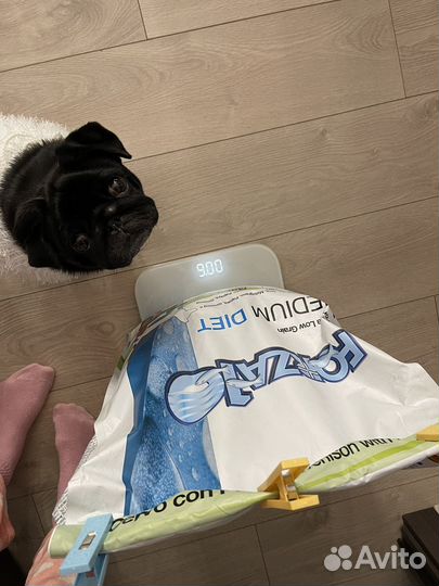 Корм для собак Forza10 (оленина)