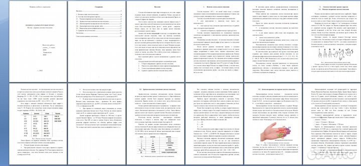 Индивидуальный школьный проект 5-9 класс