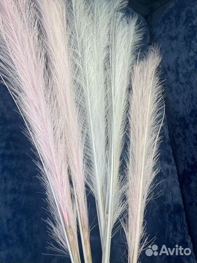 Перья для декора