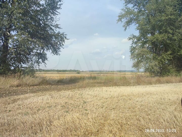 Участок 5 га (СНТ, ДНП)