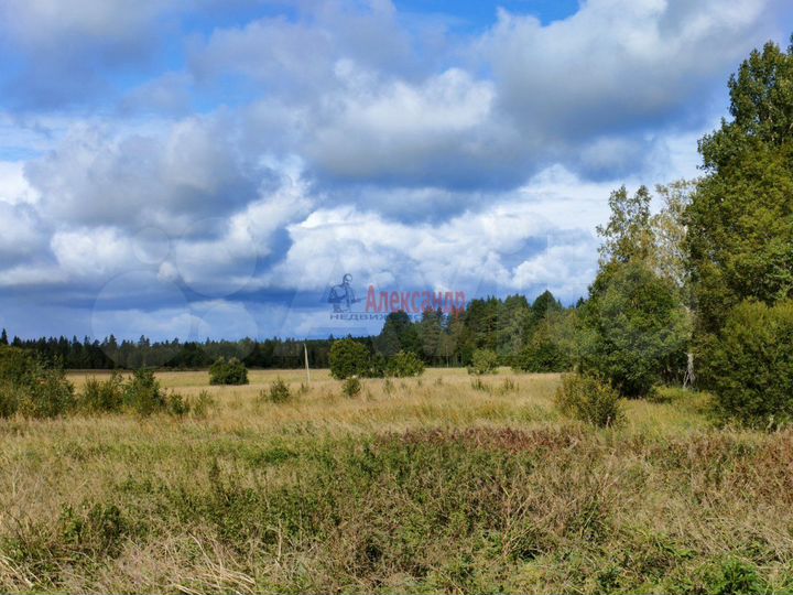 Участок 2,6 га (СНТ, ДНП)