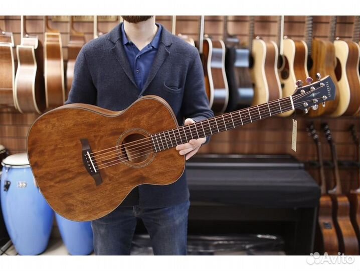 Parkwood S22M-NS с чехлом акустическая гитара