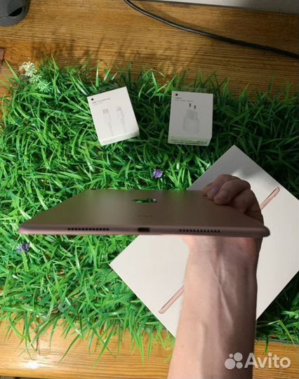 iPad Pro 9.7 Wi-Fi + Cellular + Procreate