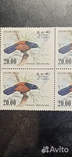 Почтовые марки Птицы. Шри Ланка. Нечастые