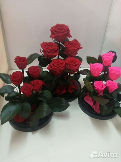 Подарок на новый год / Роза в колбе