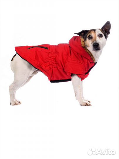 Жилетка для собак маленьких пород Rurri М новая