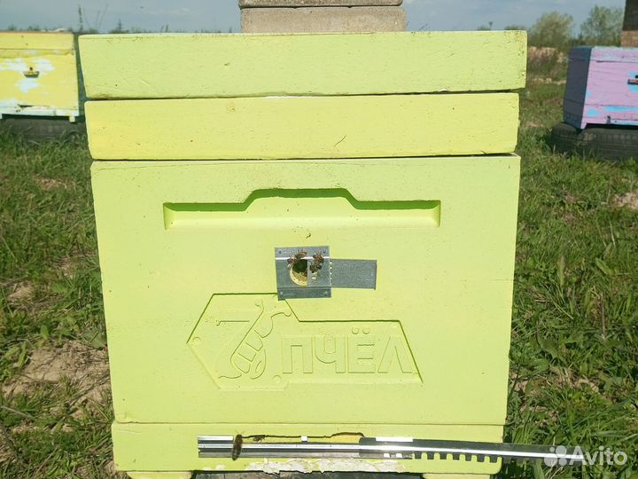 Продам улья ППУ и деревянные в отличном состоянии