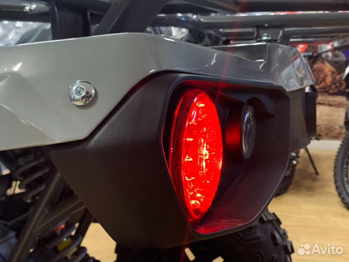 Avantis Forester 200 long Basic: Надежность и контроль дороги благодаря продуманной развесовки