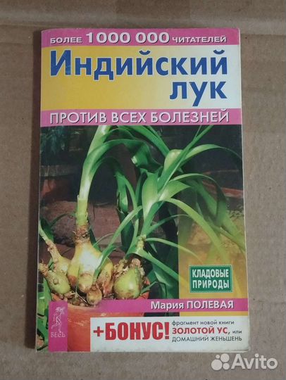 Индийский лук (птицемлечник)