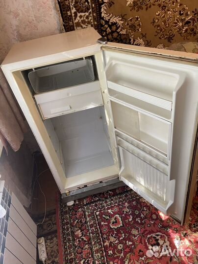 Холодильник свияга