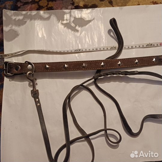 Ошейник с поводком для собаки