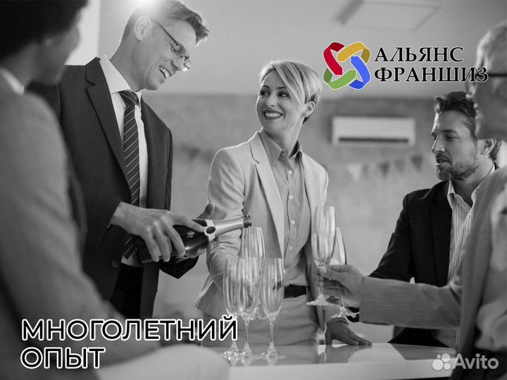 Профессиональное руководство от Альянса Франшиз