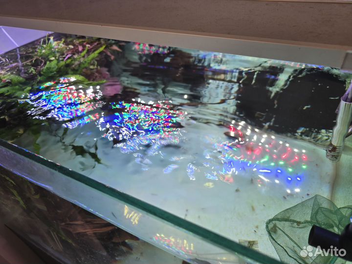 Аквариум с оборудованием