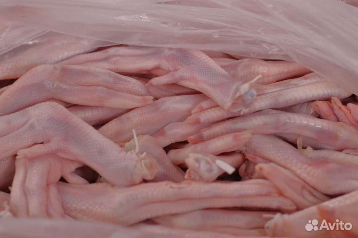 Мясо для собак утиное