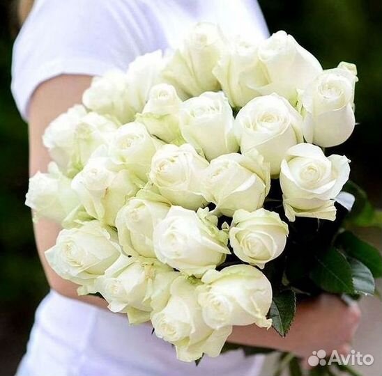 Высокие розы Доставка цветов