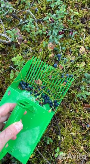 Совок для сбора ягод, лекарственного сырья, (11)