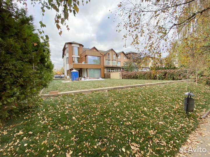 Рулонный газон 