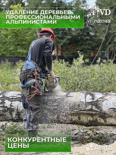 Спил деревьев / спилить дерево