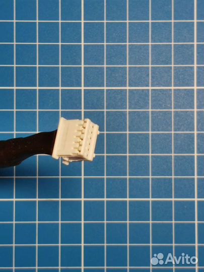 Тюльпаны RCA Pioneer