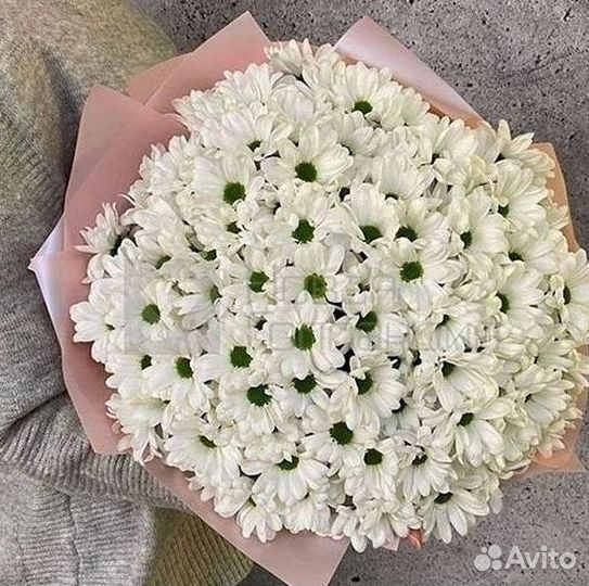 Хризантема Букеты с доставкой
