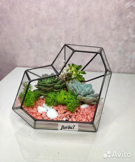 Флорариум для дома и дачи