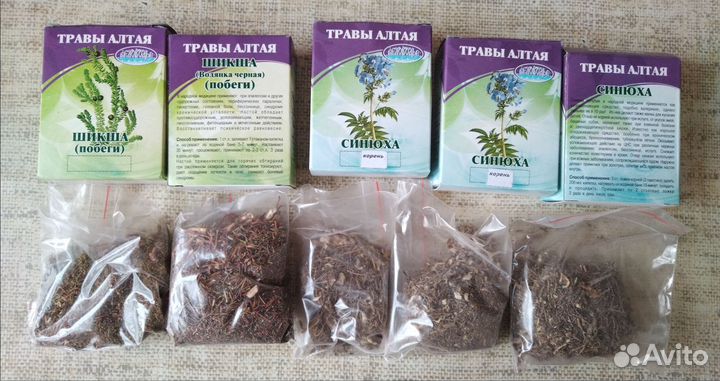 Шикша и синюха голубая