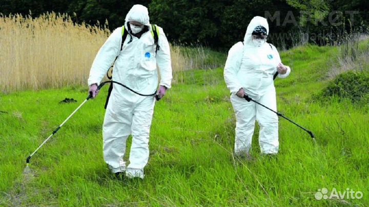 Обработка от клещей кротов комаров борщевика ос