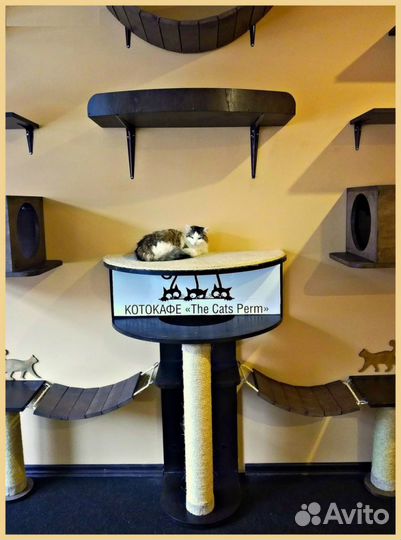 Настенный комплекс,домик,когтеточка для кошек