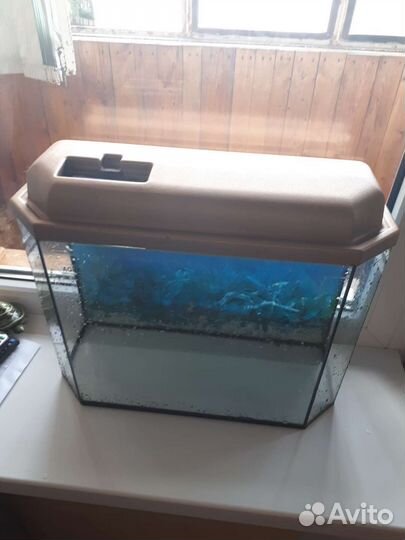 Аквариум