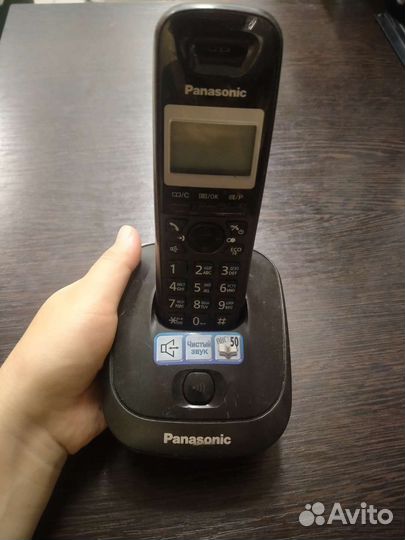 Panasonic