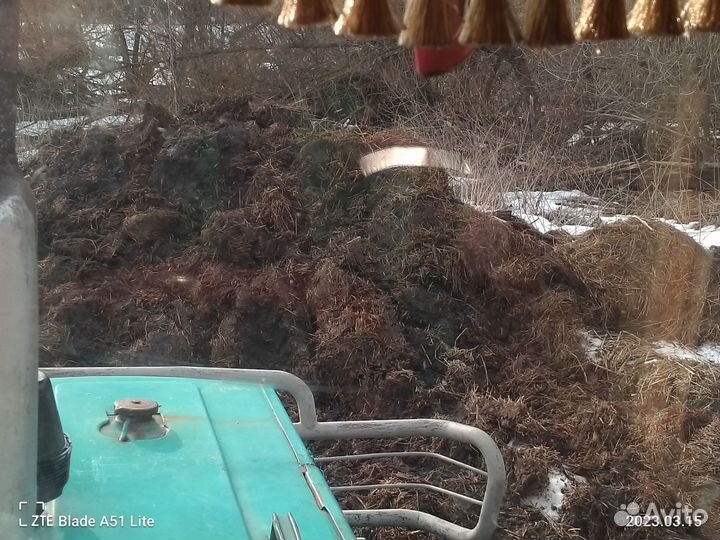 Продам навоз, цена договорная