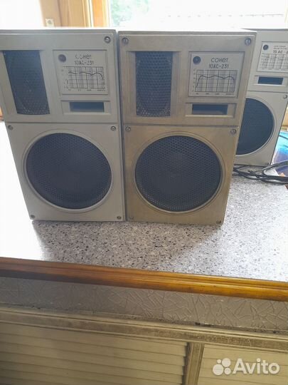 Акустические колонки Сонет 10 ас-231