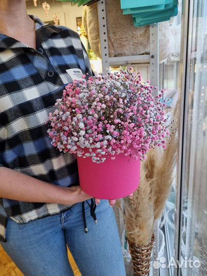 Коробка гипсофил