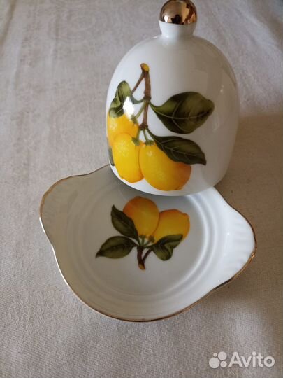 Лимонница фарфоровая