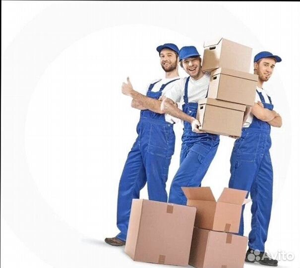 Грузчик(Полный день)