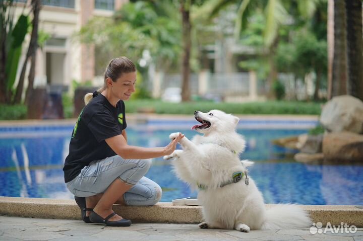 Зоопсихолог