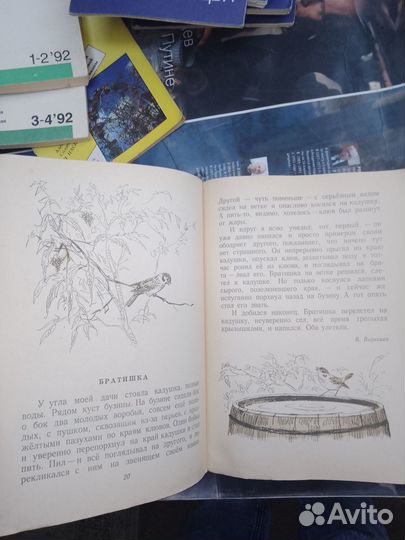 Как кошки ловят рыбу, Детская литература 1975