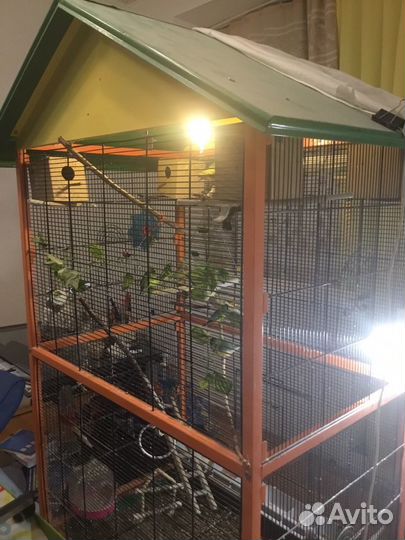 Яркий вольготный Вольер для птиц 1м75 см х 90 см х