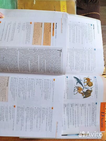 Продам Logman Gold (first sertificate)